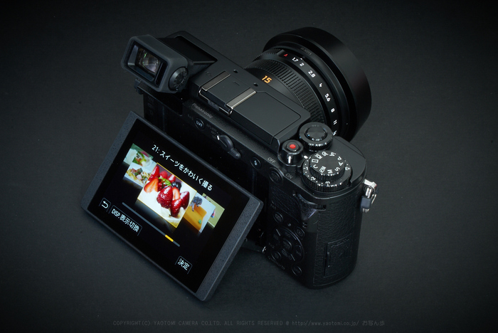 LEICA DG SUMMILUX 15mmF1.7 ASPH (H-X015)